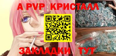 прущие крисы Тара