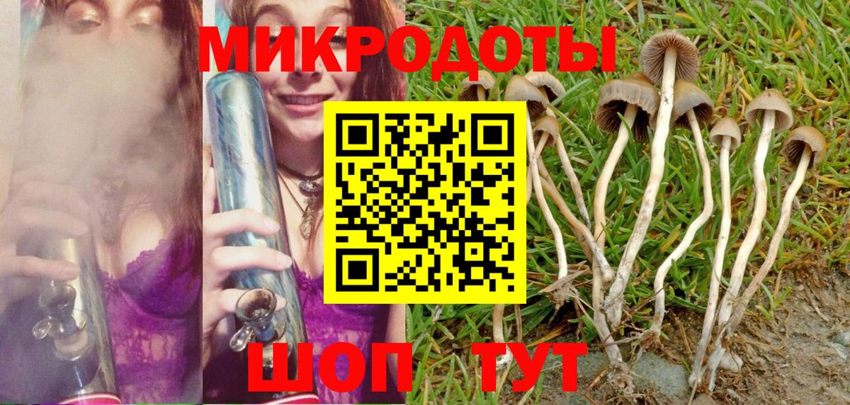 закладки  Галлюциногенные грибы Magic Shrooms  Вход с VPN  Ачхой-Мартан 